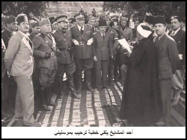 سعفات إمنت سعفات إمنت