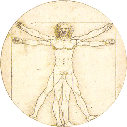Post image for Muscle Testing – Choosing the best supplements for you