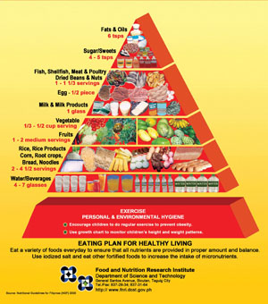 food guide pyramid for