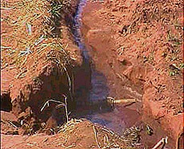 agueira quase seca pouco dava pra regar agueira quase seca pouco dava pra regar