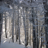 Hancocks, Whiteface, and Passaconaway