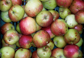 aebler_macintosh_2009.jpg