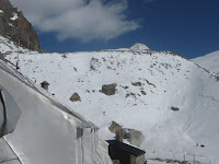 IMG_3098.JPG Photo