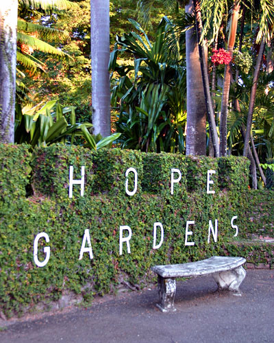 Hope Gardens in Jamaica