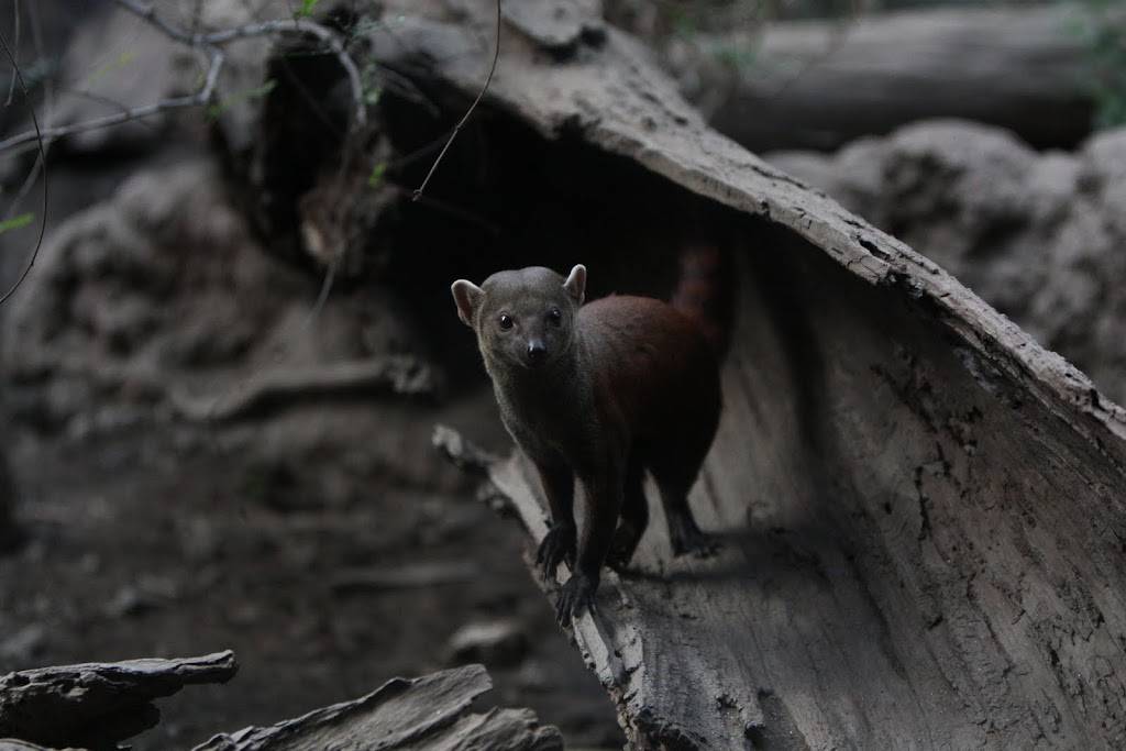 IMAGE: http://lh6.ggpht.com/_w9jT_GnjZSc/S67JvaPejII/AAAAAAAAAVI/kA-f4S1MvaI/s1024/IMG_1543.JPG