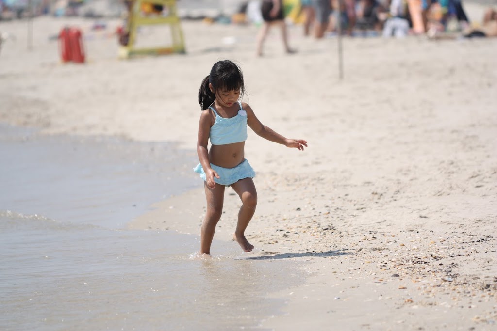 IMAGE: http://lh6.ggpht.com/_w9jT_GnjZSc/S6vNC9oD21I/AAAAAAAAARc/JjH1x4MPsqU/s1024/IMG_4845.JPG