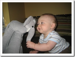 Reid loves his Funny Feet stuffed elephant and lion! 11-4-09