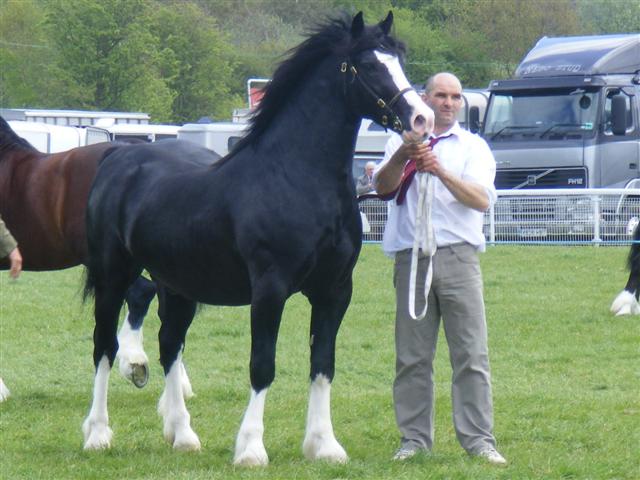 Bo Glanusk 09 Bo Glanusk 09