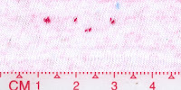 DOT-0035Bleached_Red