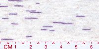 STAR 0019A