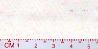 DOT-0012(BLEACHED BY BUYER)