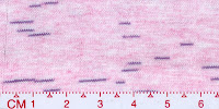 STAR 0055A