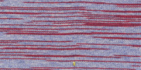 ZEBRA0022