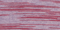 ZEBRA0027