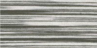 ZEBRA0063