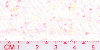 NEP-0126W-1x0Bleached
