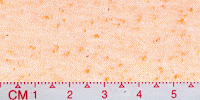 NEP-0120U-Raw-White