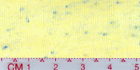 COOL-0011 (Bleached by buyer)