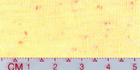 COOL-0030 (Bleached by buyer)