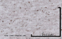NEP-0124U<br />
(Bleached-Brown Luminous)