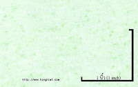 NEP-0124U<br />
(Bleached-Green Luminous1x0)