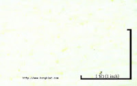 NEP-0124U<br />
(Bleached-Green Luminous1x1)