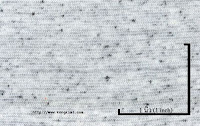 NEP-0124U<br />
(Bleached-Black1x1)