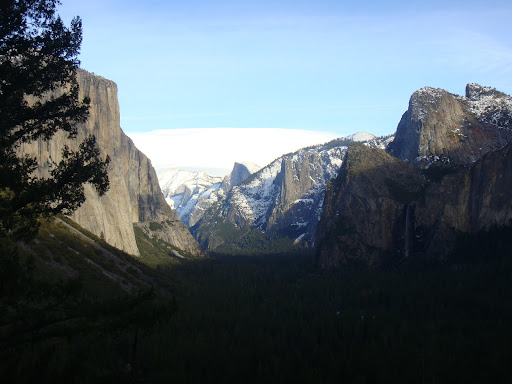 biografia de daddy yankee en ingles