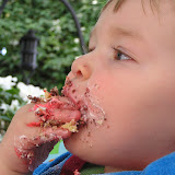 Will's First Birthday