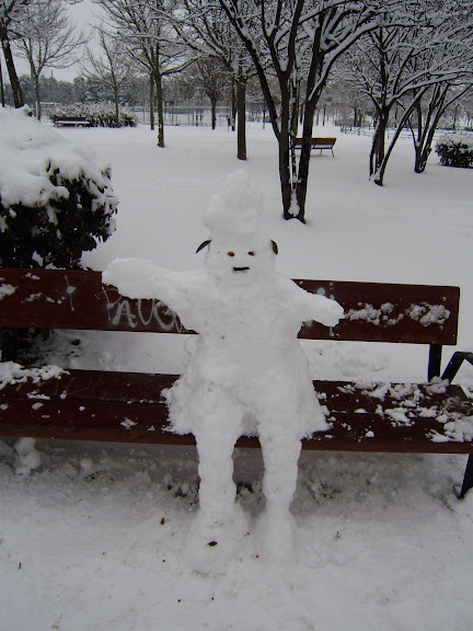 Snow Knight