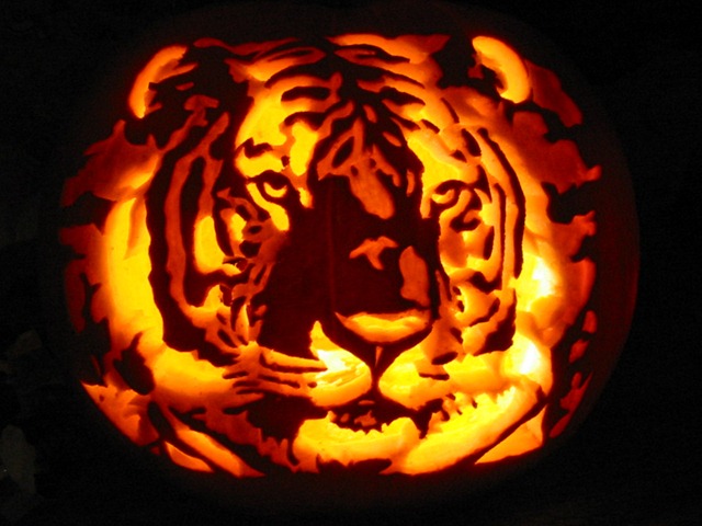 [Tiger_Pumpkin_Carving_by_Armuri[4].jpg]