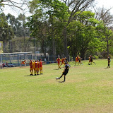 IMG_2994.jpg