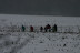  Fotoalbum