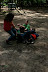 IMG 3031 Fotoalbum