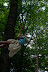 IMG 2809 Fotoalbum