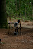 IMG 2828 Fotoalbum