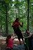 IMG 2874 Fotoalbum