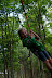 IMG 2923 Fotoalbum