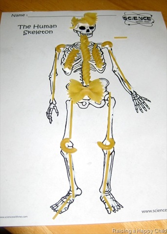 [May8_Skeleton2[2].jpg]