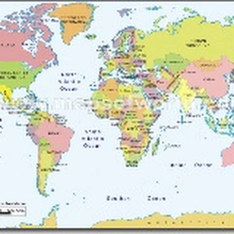 Geography Track - Rainforest