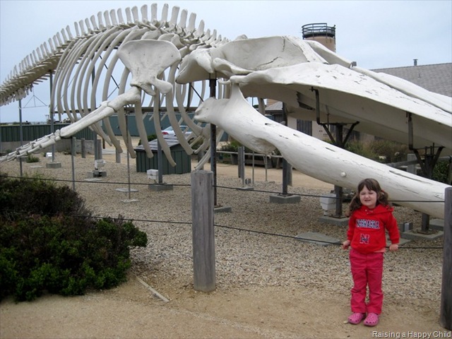 [Aug1_Whale[2].jpg]