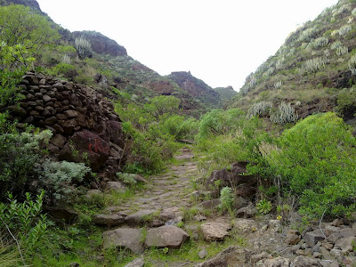 argazkia Tenerife. Barrio de la Alegría - Pico del Inglés - Presa Tahodio