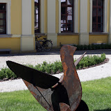 klepak1.jpg