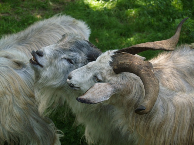 [MaineAugust20091684.jpg]