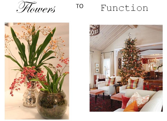 [Flowers to Function_3[4].jpg]