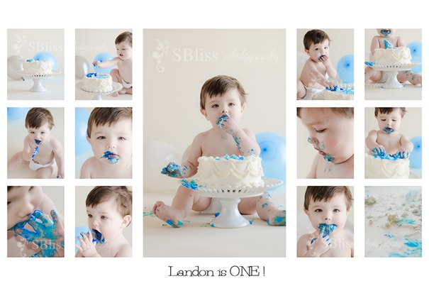 [Cakesmash_collage_950pxWM[3].jpg]