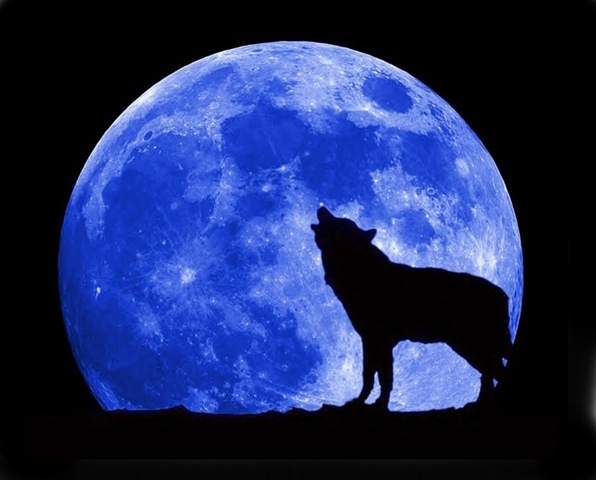 [blue-moon-wolf-full[2].jpg]