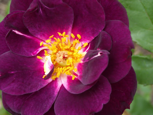 DSCN1768.JPG