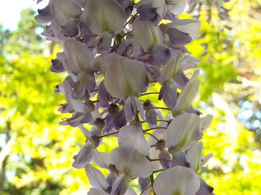 DSCN0963.JPG