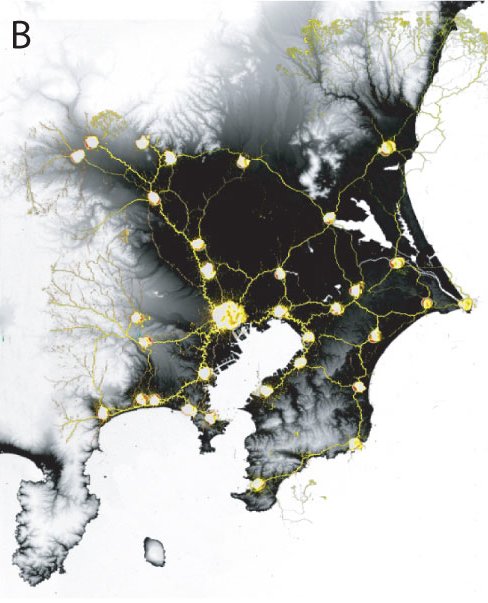 人が求める道は、バイ菌と一緒だった(slime mold network) 人が求める道は、バイ菌と一緒だった(slime mold network)